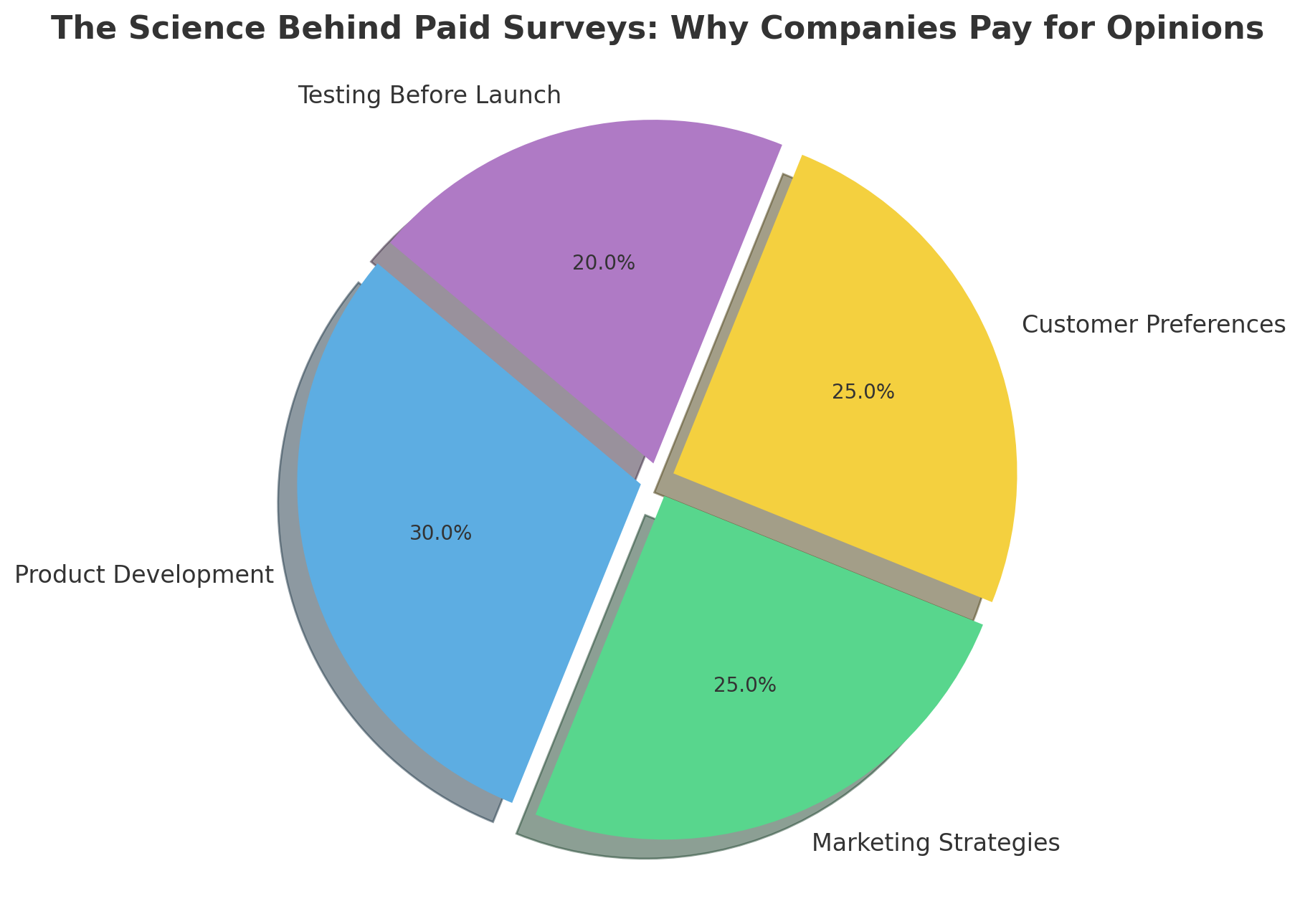 The-Science-Behind-Paid-Surveys-Why-Companies-Pay-For-Opinions